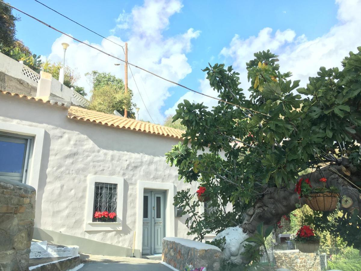 Villa Casa Metropolis à Apérion Extérieur photo